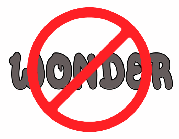 Shirt NO! WONDER! – Bild 2